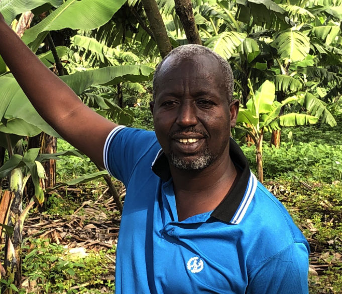 Bananenplantage in de Mugina sector in Rwanda
