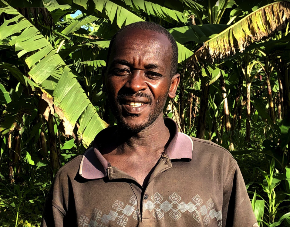 Protogeze heeft een bananenplantage in Afrika