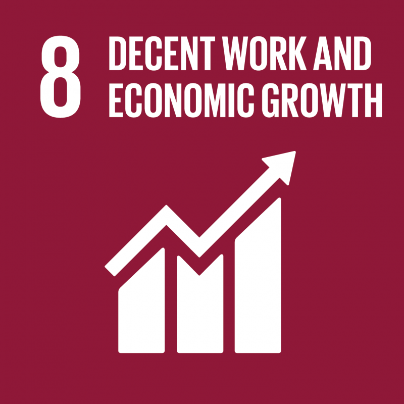 Sustainable development Goals UN | Decent work and economic growth