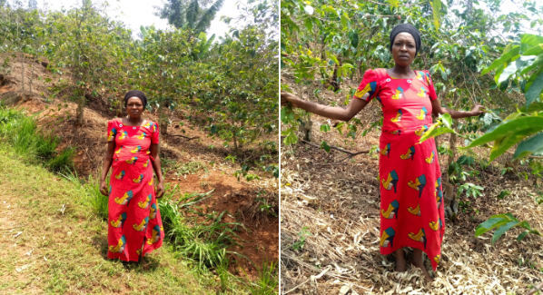 Leoncie heeft een Pure Africa microkrediet voor haar koffieplantage
