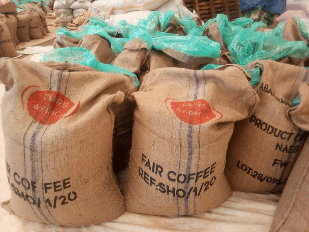 Direct trade koffie van Pure Africa