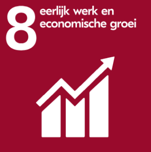 SDG 8