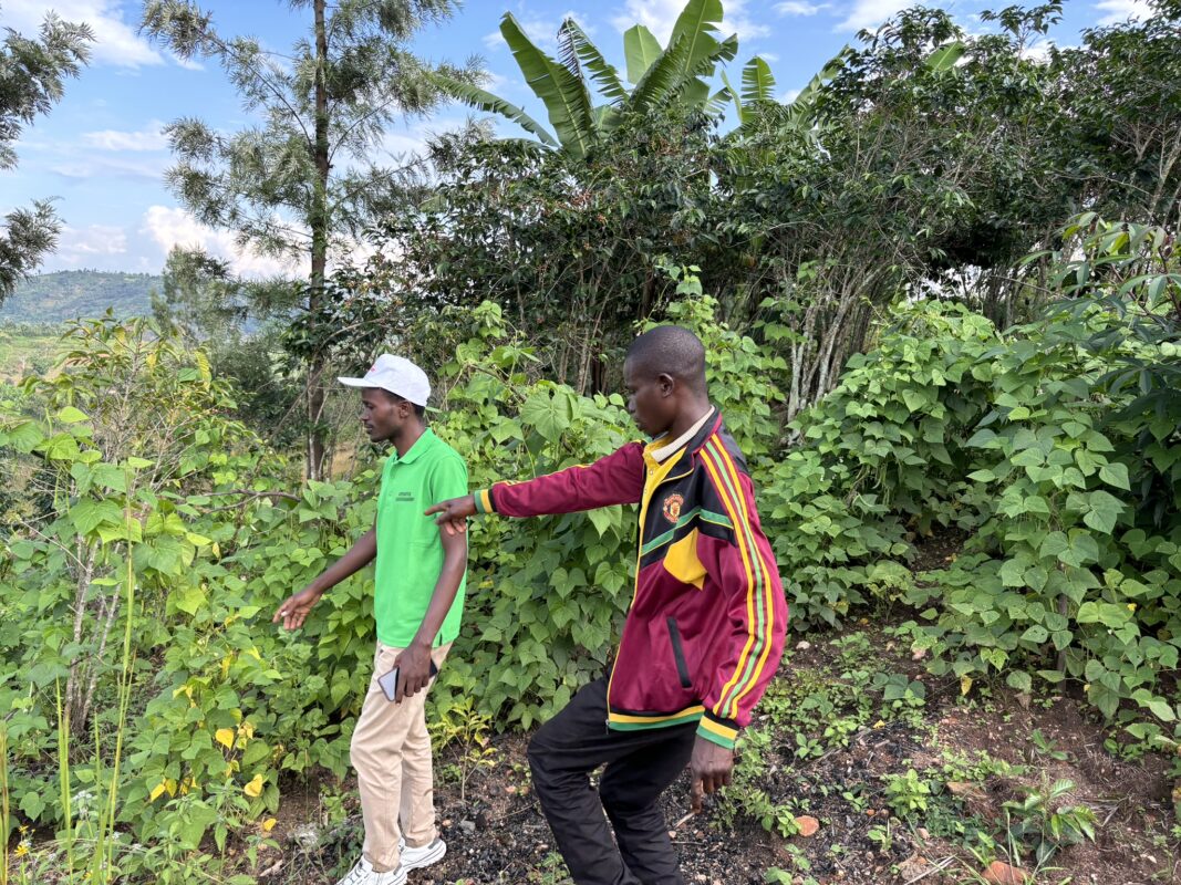 Coffee farmer and manager on coffee plantation
