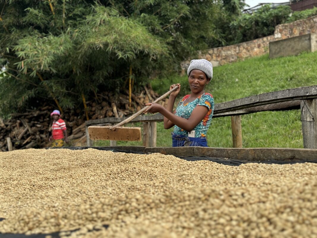 Vrouw op coffee washing station