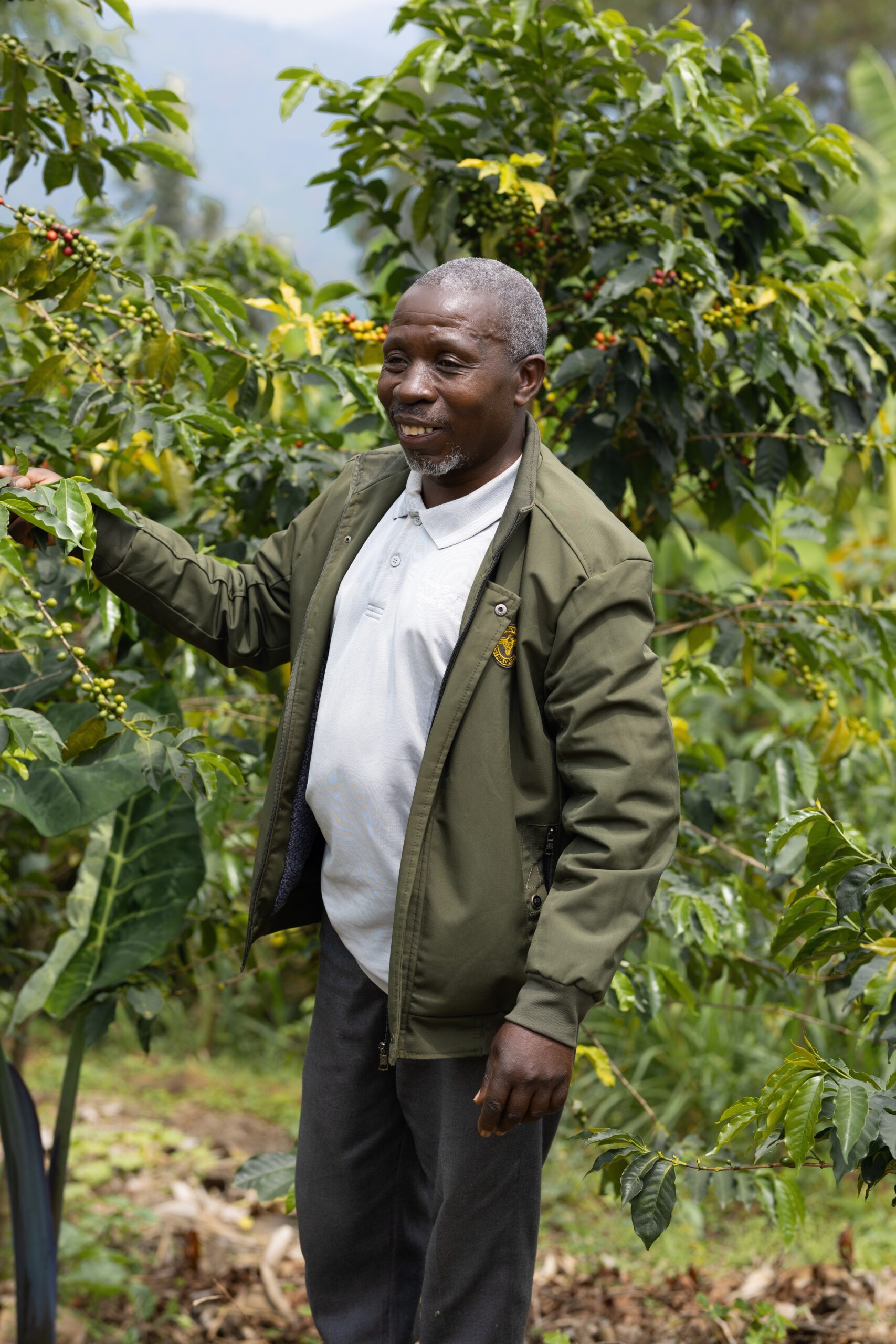 Koffieboer op zijn koffieveld